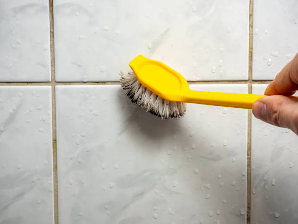 Best Mold Remediation  in Centerville, PA
