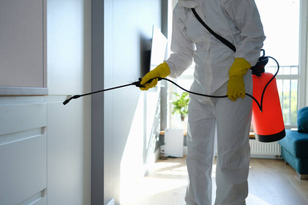 Mold Removal Process in Centerville, PA