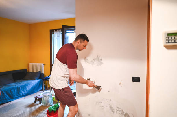 Mold Testing and Removal in Centerville, PA