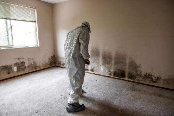 Best Professional Mold Removal  in Centerville, PA