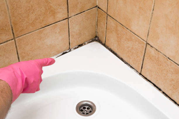 Best Crawl Space Mold Removal  in Centerville, PA